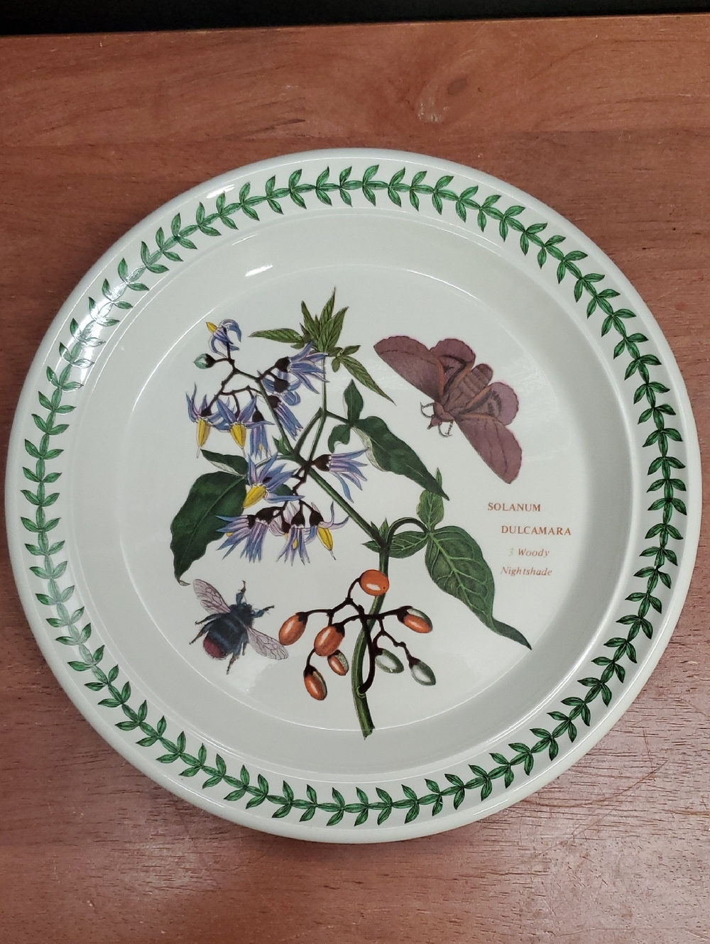 The Botanic Garden Woody Nightshade 8.50" Salad Plate